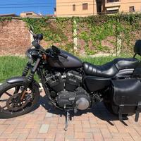 Harley-Davidson Sportster 883 - 2015