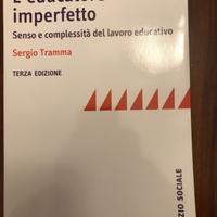 L'educatore imperfetto