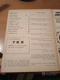tex  similspillato  29