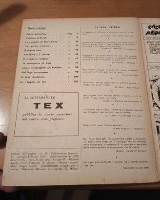 tex  similspillato  29
