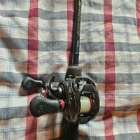 Canna casting Blue Shadow