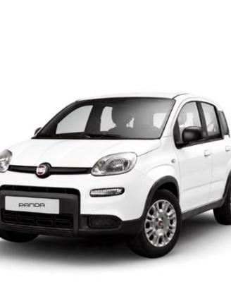 FIAT Pandina HYBRID 1.0 65cv Hybrid Pop