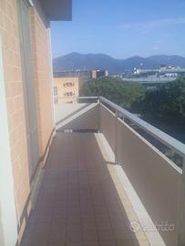 Singola per studentessa zona Piagge