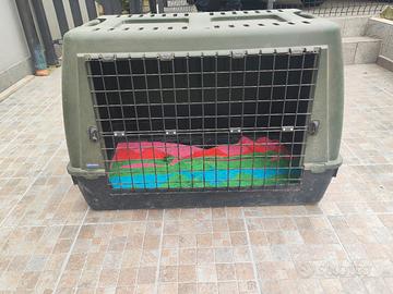 trasportino animali