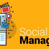 Social Media Manager - Copywriter