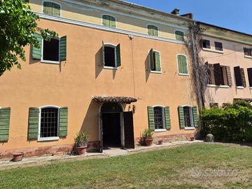 Corte storica: casa padronale, vigneto e stalla