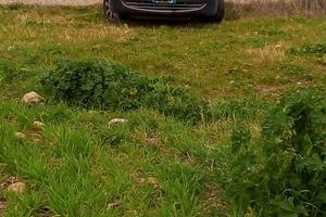 Peugeot 807 North West