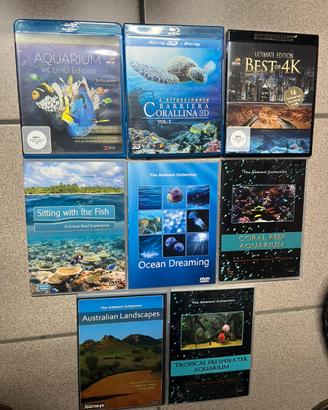 Dvd ambient