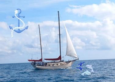 36 ketch taipei