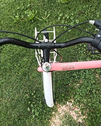 Bicicletta Casadei record lincy