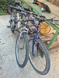 biciclette 