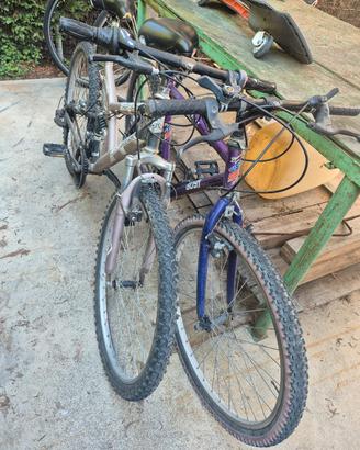 biciclette 