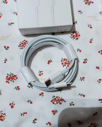 iPhone cable 