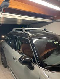 Barre porta tutto mini countryman