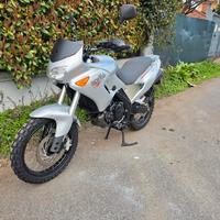 aprilia pegaso nuova