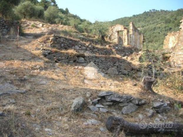 TER. AGRICOLO A DIANO SAN PIETRO