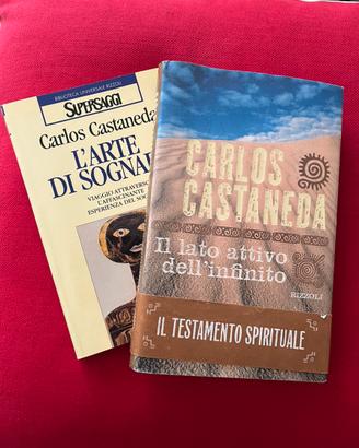 CARLOS CASTANEDA saggi