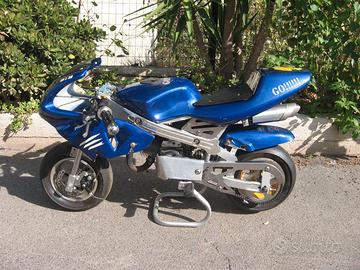 mini moto