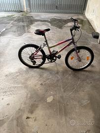 Bicicletta Ragazzino