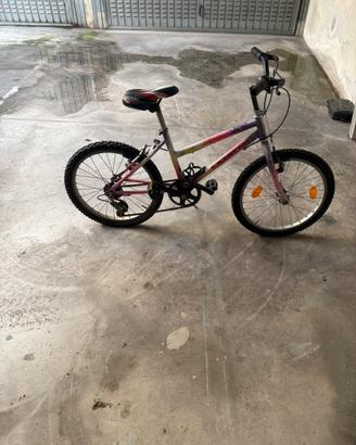 Bicicletta Ragazzino