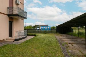 Comacchio / Pineta dal 16 al 23/05