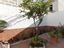 Immagine 26