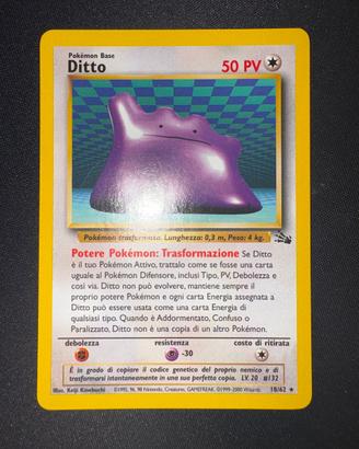 Ditto Fossil 18/62