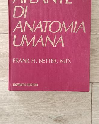 Atlante di Anatomia Frank Netter