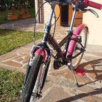 bicicletta bambina 20 pollici 
