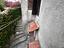 Immagine 24