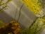 Immagine 3