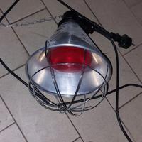LAMPADA TERMICA PER ANIMALI