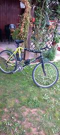 Mountain bike Bianchi 