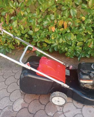 Taglia erba BRIGGS & STRATTON