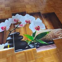QUADRO ZEN