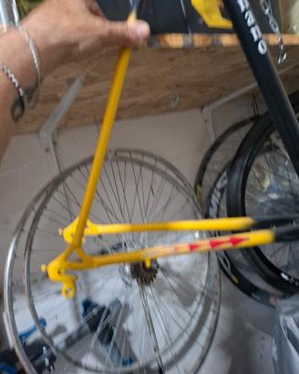 Kit Restauro Bici da Corsa Legnano Vintage – Proge