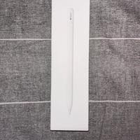 Apple Pencil USB-C [Nuovissima]