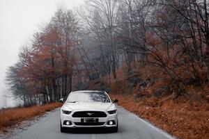 Ford Mustang ecoboost 2.3