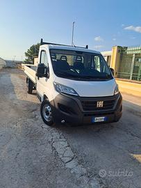 fiat ducato maxi cassone fisso