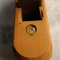 Pialla dentata Wolf