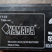 Batteria 12v al piombo
