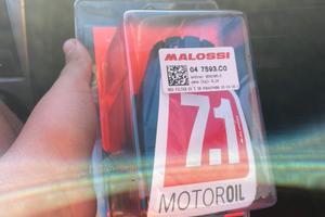 filtro a cono malossi per 17,5