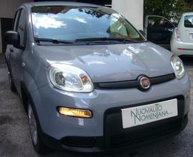 FIAT Panda 1.2 EasyPower GPL My23 Nuovo Modello