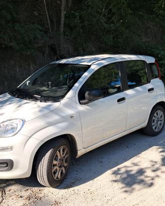 FIAT Panda Metano 2021 Twinair Natural Power Easy