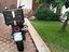 Immagine 6