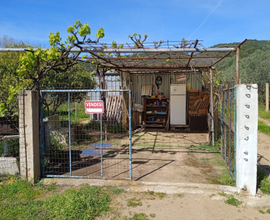 Terreno agricolo zona Lulinu mq 1400