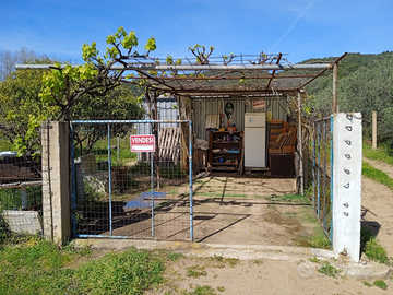 Terreno agricolo zona Lulinu mq 1400
