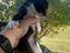 Immagine 4