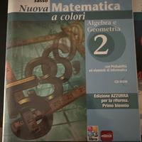Nuova matematica a colori 2