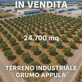 Terreno industriale